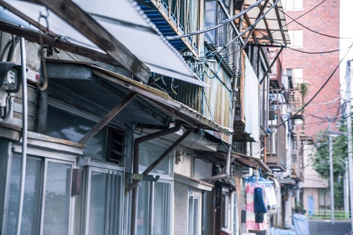 ellsyuumeigiku150928457696_tp_v