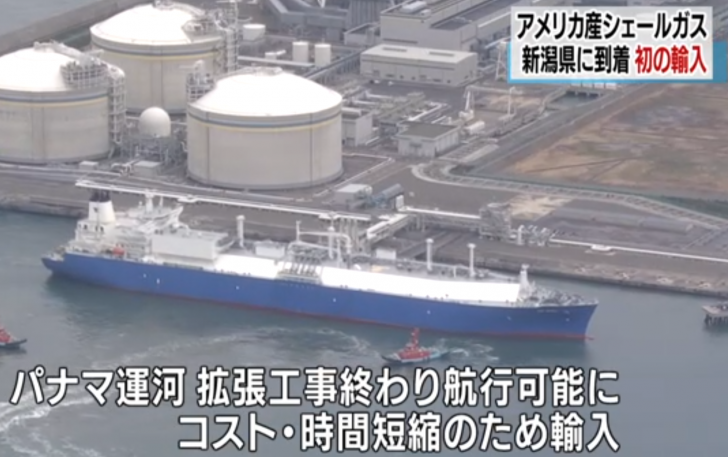 %e6%96%b0%e6%bd%9f%e3%81%ab%e3%82%a2%e3%83%a1%e3%83%aa%e3%82%ab%e7%94%a3%e3%82%b7%e3%82%a7%e3%83%bc%e3%83%ab%e3%82%ac%e3%82%b9%e3%81%8c%e5%88%b0%e7%9d%80